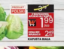 Wafelek Kapusta Biała oferta