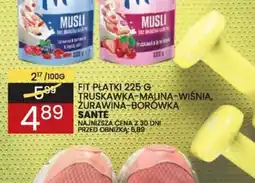 Wafelek FIT PLATKI oferta