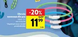 Intermarche Obroża dla psa oferta