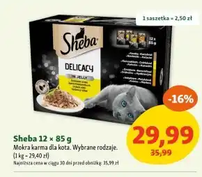 Maxi Zoo Mokra karma dla kota Sheba oferta