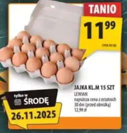 Arhelan Jajka Lewian oferta