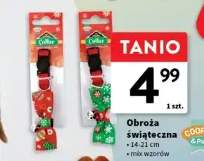 Intermarche Obroża oferta