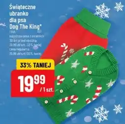 Polomarket Ubranko dla psa King oferta