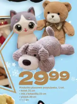 Twój Market Maskotka oferta