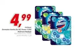 Sklep Polski Kostka do wc Domestos oferta