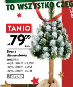 Intermarche Sosna Erbis oferta