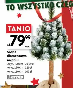 Intermarche Sosna Erbis oferta