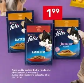 Lewiatan Karma dla kota Felix oferta