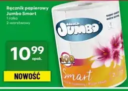 Delikatesy Centrum Ręcznik papierowy Jumbo oferta