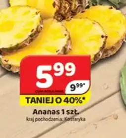 Delfin Ananas oferta