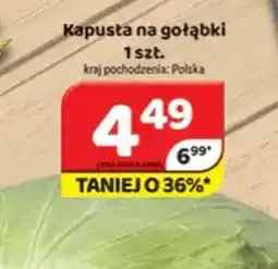 Delfin Kapusta na gołąbki oferta