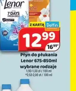 Delfin Płyn do płukania Lenor oferta