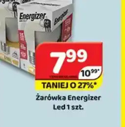 Delfin Zarówka Energizer oferta