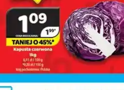 Delfin Kapusta czerwona oferta