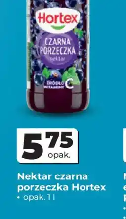 Odido Nektar czarna porzeczka Hortex oferta
