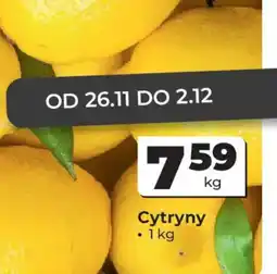 Odido Cytryny oferta