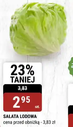 bi1 Sałata lodowa oferta