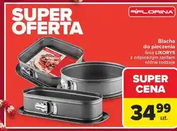 Carrefour Forma likorys kwadratowa Florina (Florentyna) oferta