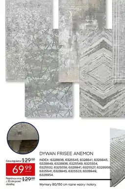 Abra DYWAN FRISEE ANEMON oferta