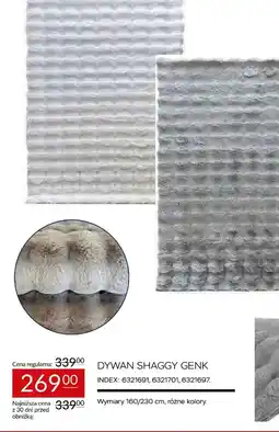 Abra DYWAN SHAGGY GENK oferta