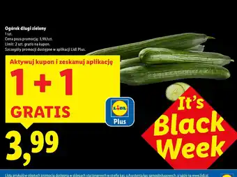 Lidl Ogórek długi zielony Lidl oferta