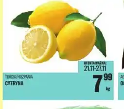 TomiMarkt Cytryna oferta