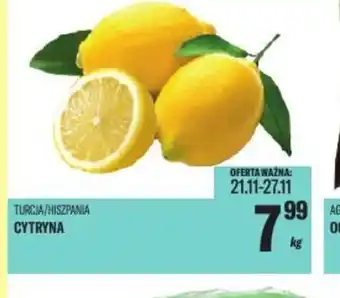 TomiMarkt Cytryna oferta