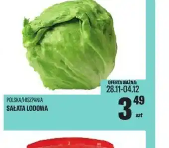 TomiMarkt Salata Lodowa oferta