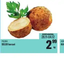 TomiMarkt Seler korzeń oferta