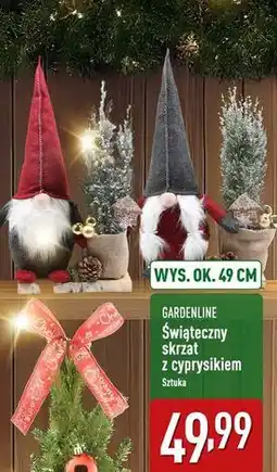 ALDI Skrzat z cyprysikiem Gardenline oferta