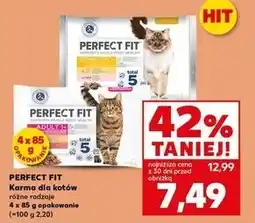 Kaufland Karma dla kota adult 1+ Perfect Fit oferta