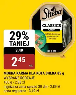 bi1 Mokra karma dla kota sheba oferta