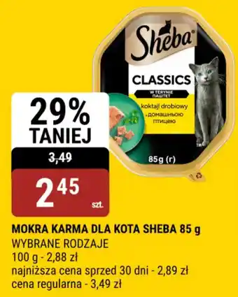 bi1 Mokra karma dla kota sheba oferta