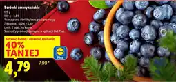 Lidl Borówki amerykańskie Lidl oferta