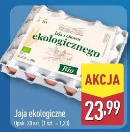 ALDI Jaja ekologiczne Aldi oferta