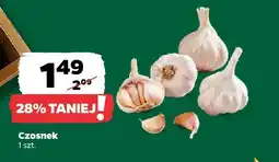 Netto Czosnek 1 szt. Netto oferta
