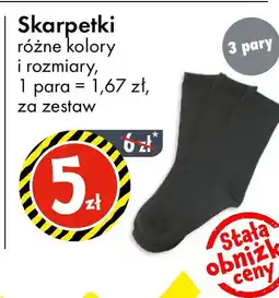 Tedi Skarpetki oferta