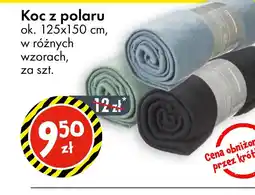 Tedi Koc z polaru oferta