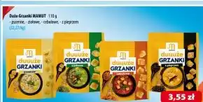 Astra Grzanki Mamut oferta