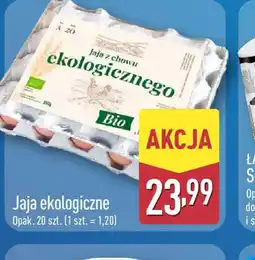 ALDI Jaja ekologiczne oferta