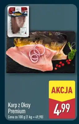 ALDI Karp z Oksy Premium Aldi oferta