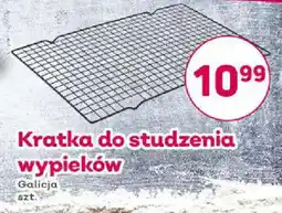 Bliski Kratka do studzenia wypieków Galicja oferta
