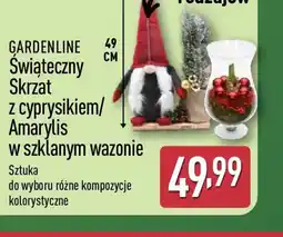 ALDI Swiąteczny Skrzat oferta