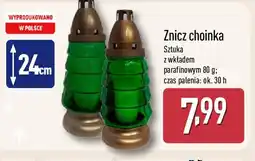 ALDI Znicz choinka oferta