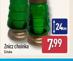 ALDI Znicz choinka oferta