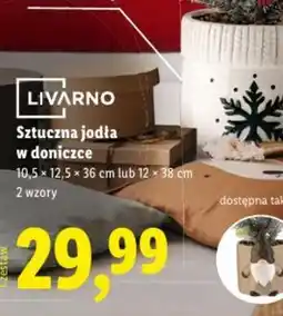 Lidl Sztuczna jodła w doniczce oferta