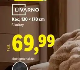 Lidl Koc oferta