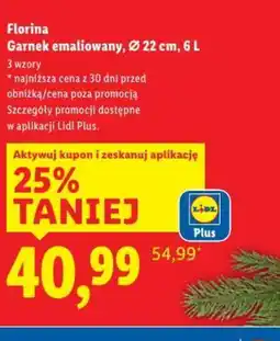 Lidl Garnek emaliowany oferta