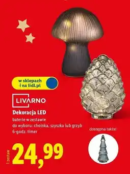 Lidl Grzyb led Livarno Home oferta