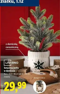 Lidl Sztuczna jodła w doniczce Livarno oferta